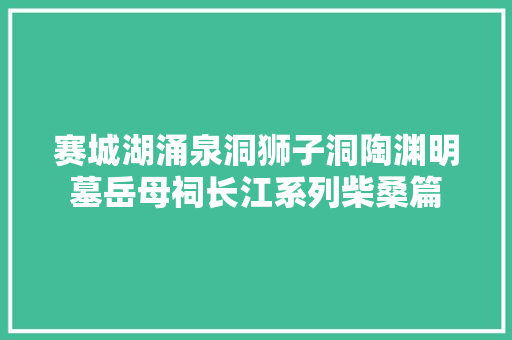 赛城湖涌泉洞狮子洞陶渊明墓岳母祠长江系列柴桑篇