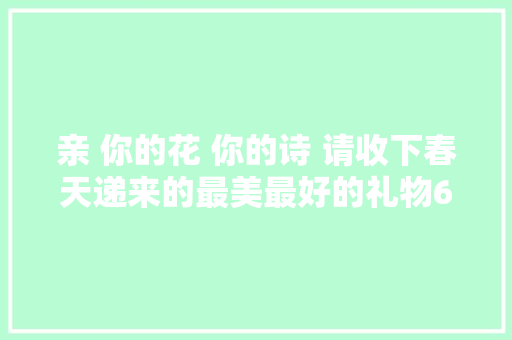 亲 你的花 你的诗 请收下春天递来的最美最好的礼物6