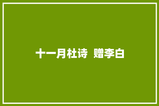 十一月杜诗  赠李白