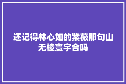 还记得林心如的紫薇那句山无棱寰宇合吗