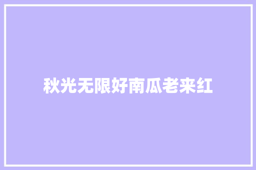 秋光无限好南瓜老来红