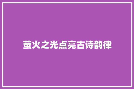 萤火之光点亮古诗韵律