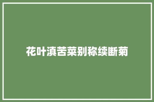 花叶滇苦菜别称续断菊