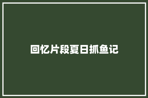 回忆片段夏日抓鱼记