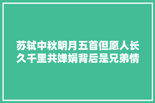 苏轼中秋明月五首但愿人长久千里共婵娟背后是兄弟情深