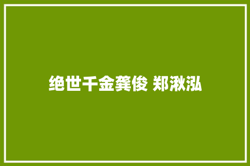 绝世千金龚俊 郑湫泓