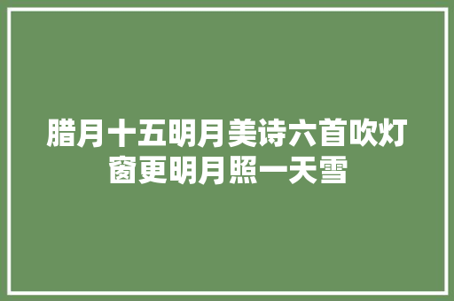 腊月十五明月美诗六首吹灯窗更明月照一天雪
