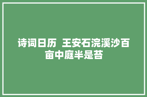 诗词日历  王安石浣溪沙百亩中庭半是苔