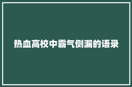 热血高校中霸气侧漏的语录