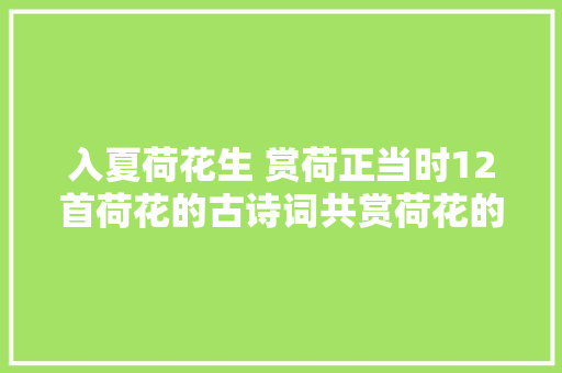 入夏荷花生 赏荷正当时12首荷花的古诗词共赏荷花的美丽与诗意
