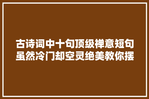 古诗词中十句顶级禅意短句虽然冷门却空灵绝美教你摆脱内耗