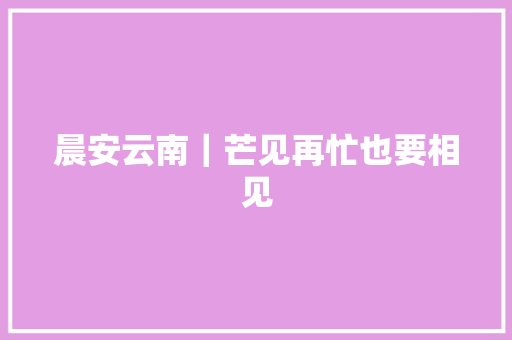 晨安云南｜芒见再忙也要相见