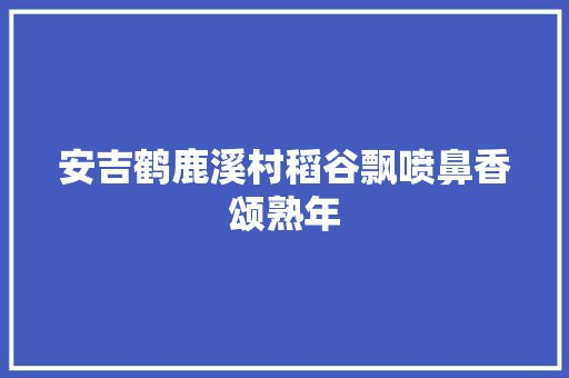 安吉鹤鹿溪村稻谷飘喷鼻香颂熟年