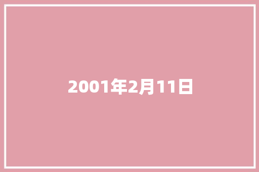 2001年2月11日