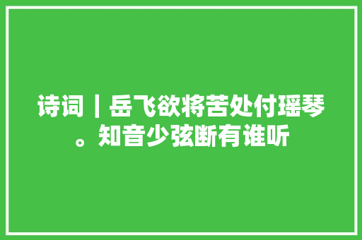 诗词｜岳飞欲将苦处付瑶琴。知音少弦断有谁听