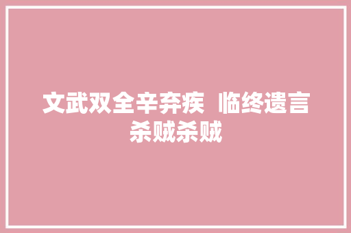 文武双全辛弃疾  临终遗言杀贼杀贼