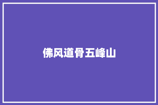 佛风道骨五峰山