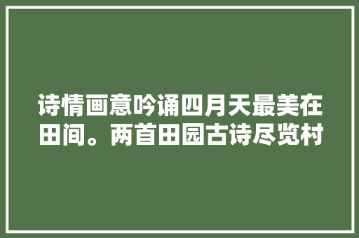 诗情画意吟诵四月天最美在田间。两首田园古诗尽览村落风情