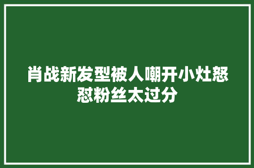 肖战新发型被人嘲开小灶怒怼粉丝太过分