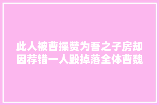 此人被曹操赞为吾之子房却因荐错一人毁掉落全体曹魏王朝