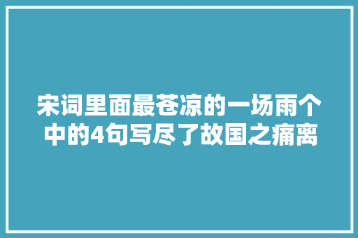 宋词里面最苍凉的一场雨个中的4句写尽了故国之痛离