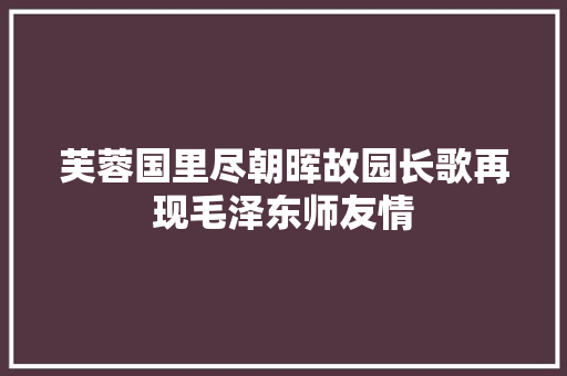 芙蓉国里尽朝晖故园长歌再现毛泽东师友情