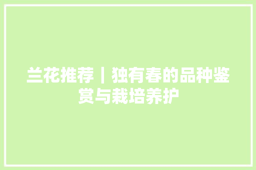 兰花推荐｜独有春的品种鉴赏与栽培养护