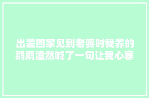 出差回家见到老婆时我养的鹦鹉溘然喊了一句让我心寒的话