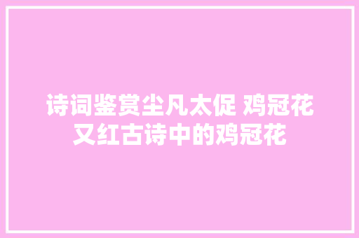 诗词鉴赏尘凡太促 鸡冠花又红古诗中的鸡冠花