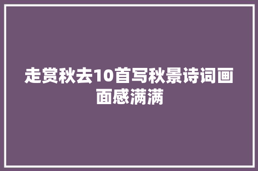 走赏秋去10首写秋景诗词画面感满满