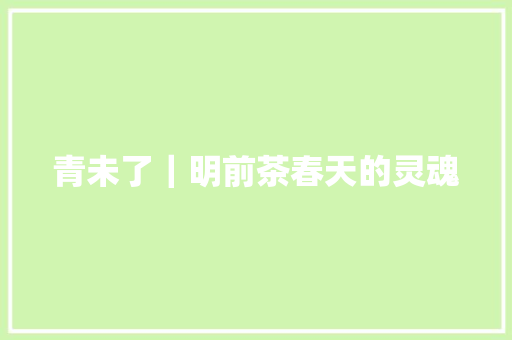 青未了｜明前茶春天的灵魂