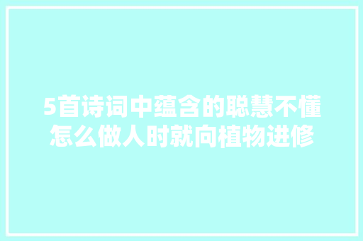 5首诗词中蕴含的聪慧不懂怎么做人时就向植物进修