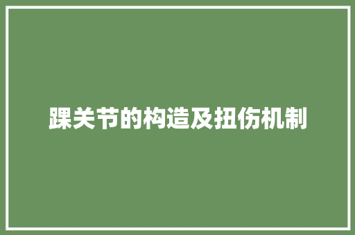 踝关节的构造及扭伤机制