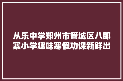 从乐中学郑州市管城区八郎寨小学趣味寒假功课新鲜出炉