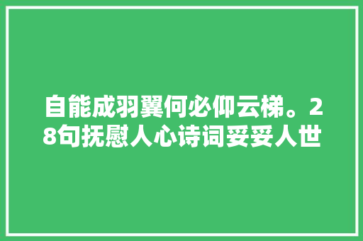 自能成羽翼何必仰云梯。28句抚慰人心诗词妥妥人世自有真情在