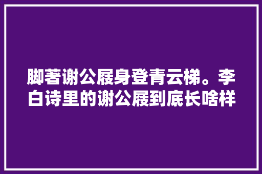 脚著谢公屐身登青云梯。李白诗里的谢公屐到底长啥样