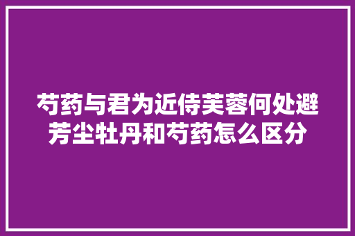 芍药与君为近侍芙蓉何处避芳尘牡丹和芍药怎么区分