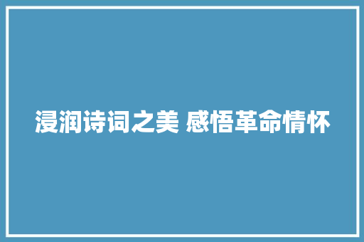 浸润诗词之美 感悟革命情怀