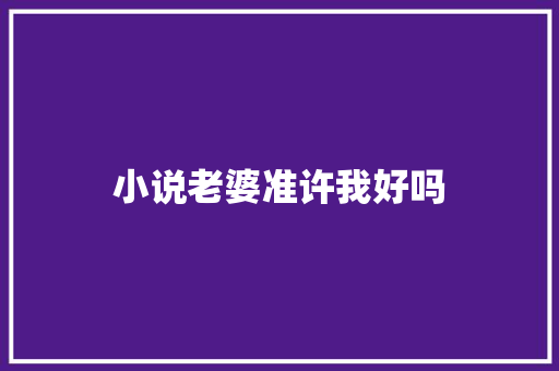 小说老婆准许我好吗