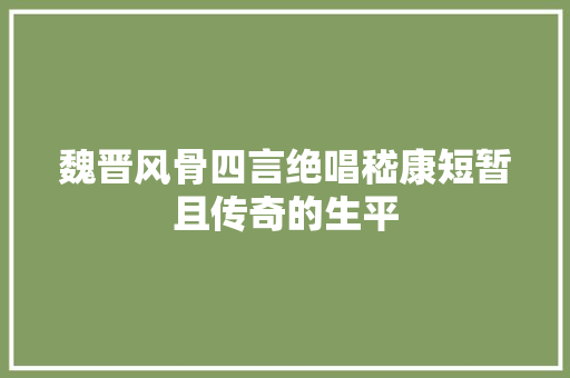 魏晋风骨四言绝唱嵇康短暂且传奇的生平