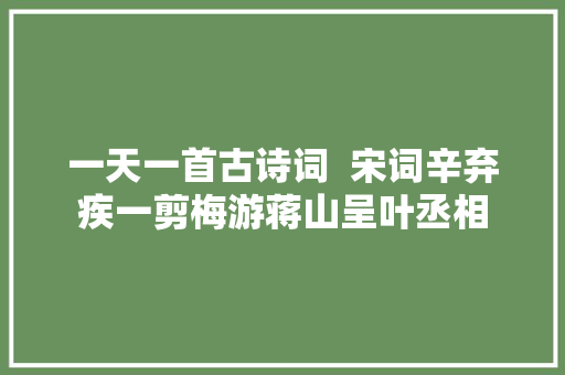 一天一首古诗词  宋词辛弃疾一剪梅游蒋山呈叶丞相