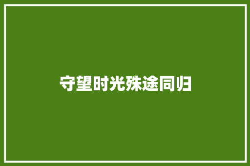 守望时光殊途同归