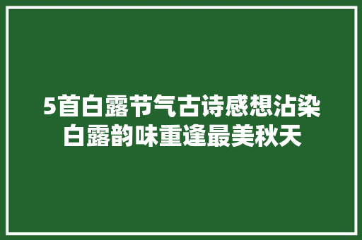 5首白露节气古诗感想沾染白露韵味重逢最美秋天