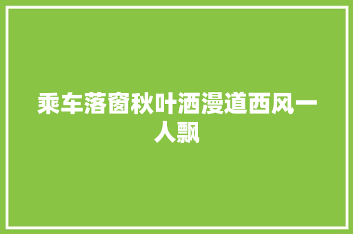 乘车落窗秋叶洒漫道西风一人飘