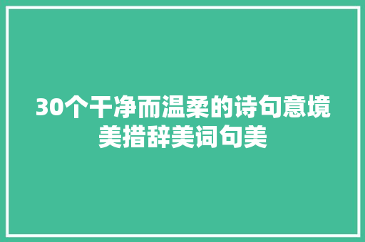 30个干净而温柔的诗句意境美措辞美词句美