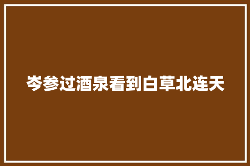 岑参过酒泉看到白草北连天