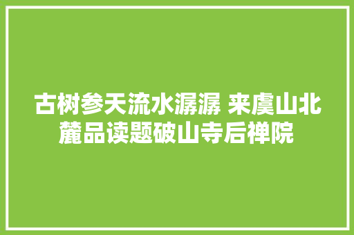 古树参天流水潺潺 来虞山北麓品读题破山寺后禅院