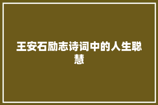 王安石励志诗词中的人生聪慧