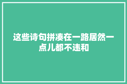 这些诗句拼凑在一路居然一点儿都不违和