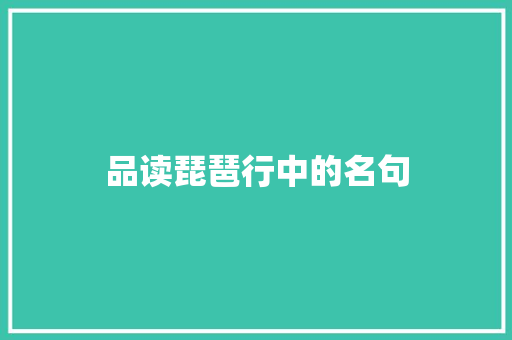 品读琵琶行中的名句